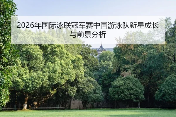 nian-guo-ji-yong-lian-guan-jun-sai-zhong-guo-you-yong-dui-xin-xing-cheng-zhang-yu-qian-jing-fen-xi-1-568.jpg