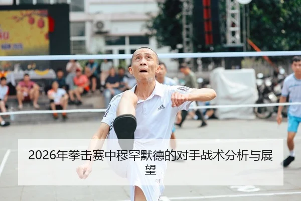 2026年拳击赛中穆罕默德的对手战术分析与展望