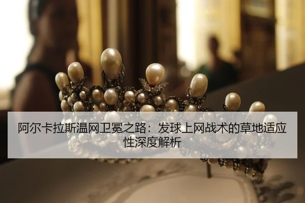a-er-ka-la-si-wen-wang-wei-mian-zhi-lu-fa-qiu-shang-wang-zhan-shu-de-cao-di-shi-ying-xing-shen-du-jie-xi-2-468.jpg